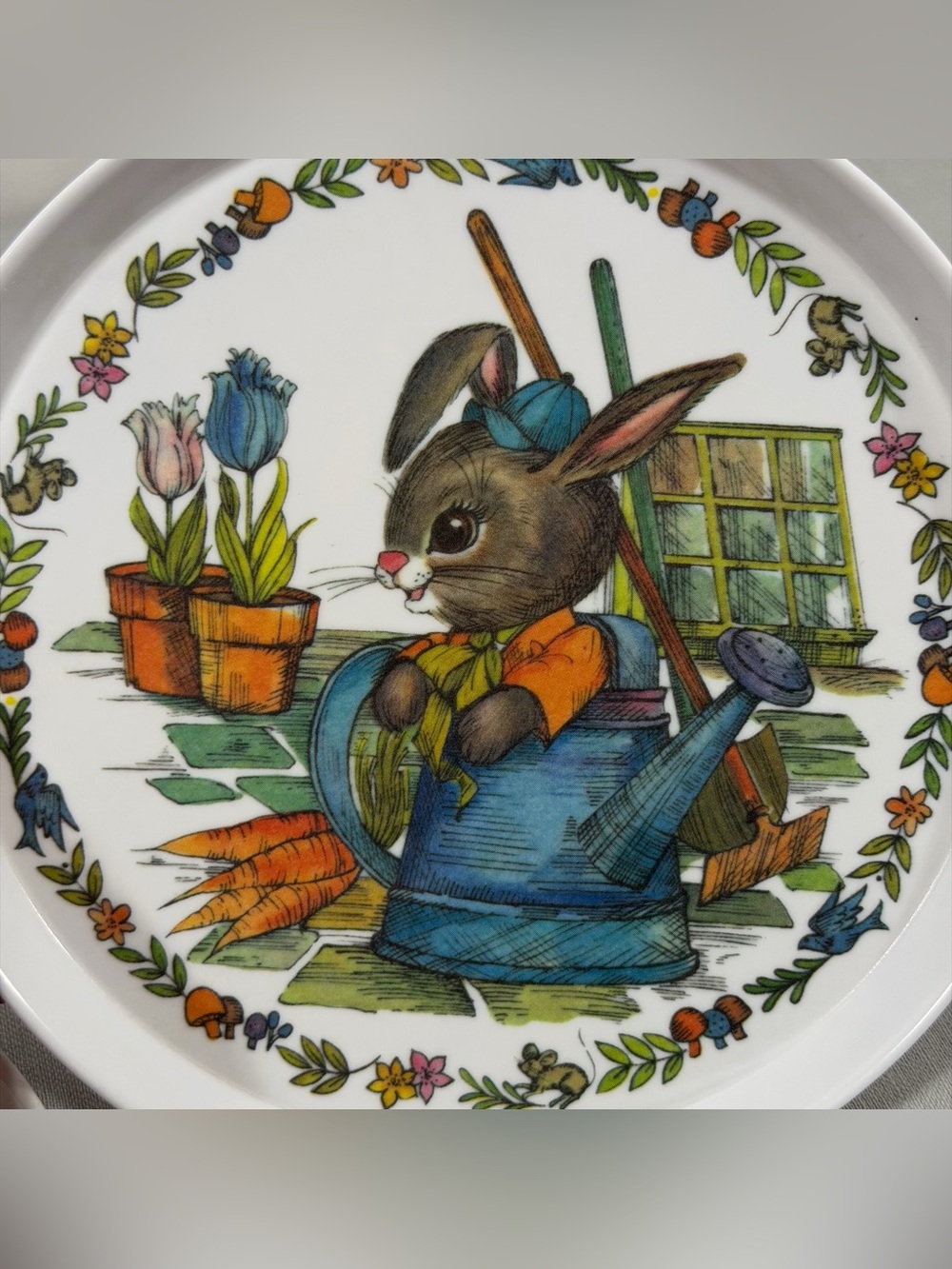 Oneida Deluxe Melamine Peter Rabbit Gardening Child Dinner Plates 8” 5101 3 pcs